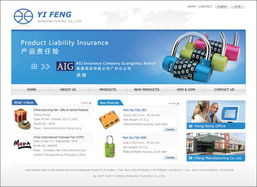 網(wǎng)站設(shè)計(jì)與軟件開發(fā) 雙翼齊飛，共創(chuàng)數(shù)字未來